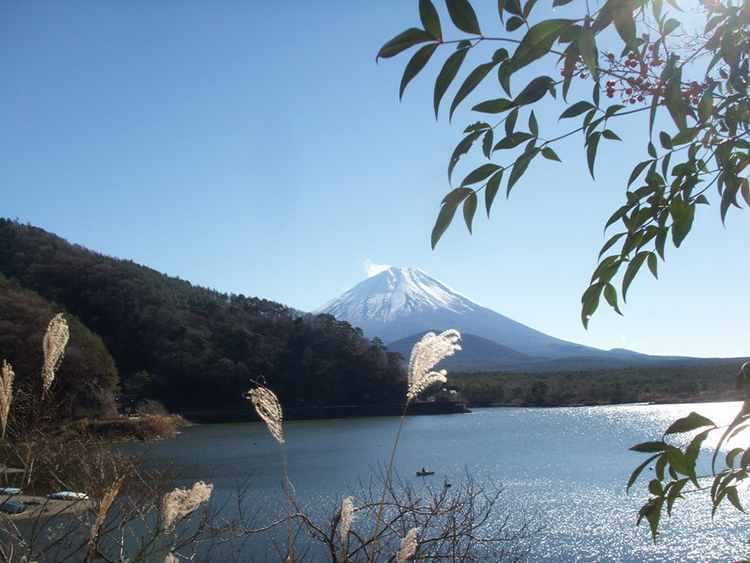 2014年12月03日精進湖からの富士